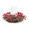 Melrose Set of 6 Pine and Berry Mini Wreath Christmas Candle Rings 10.5"